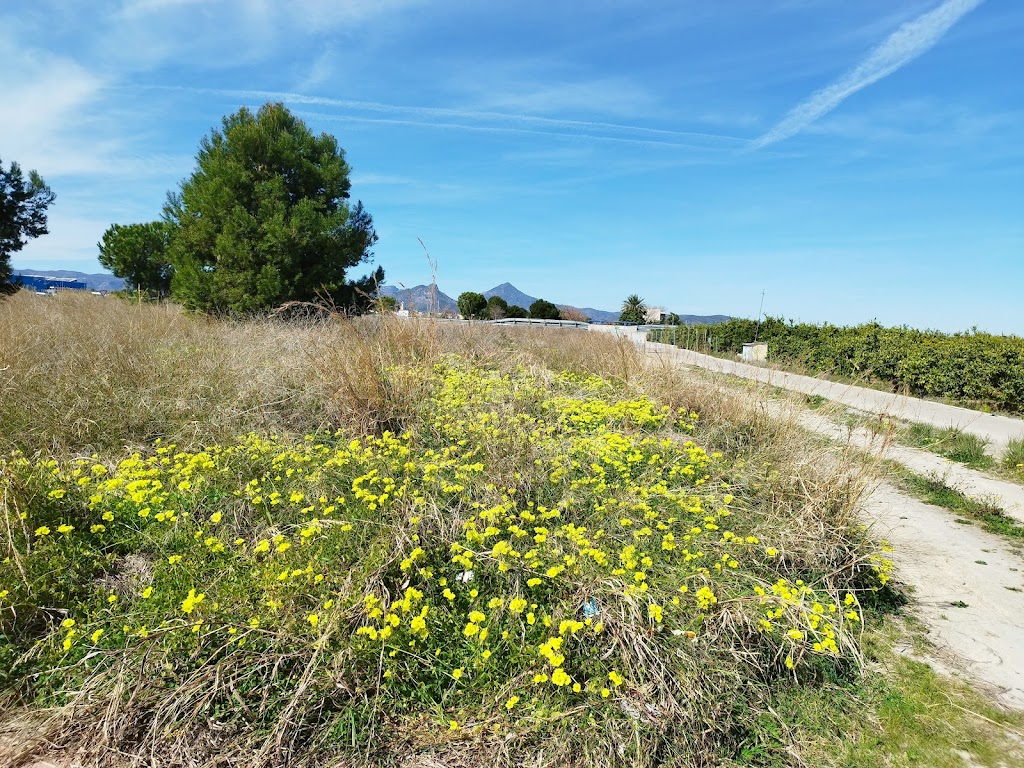 Camino Natural Via Verde de La Safor (Gandia - Oliva)