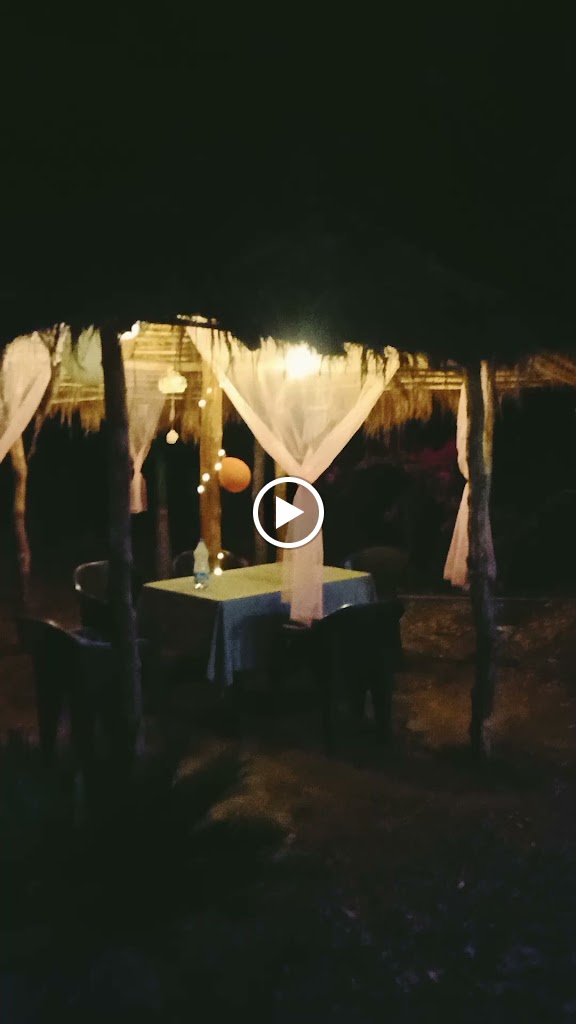 Videos