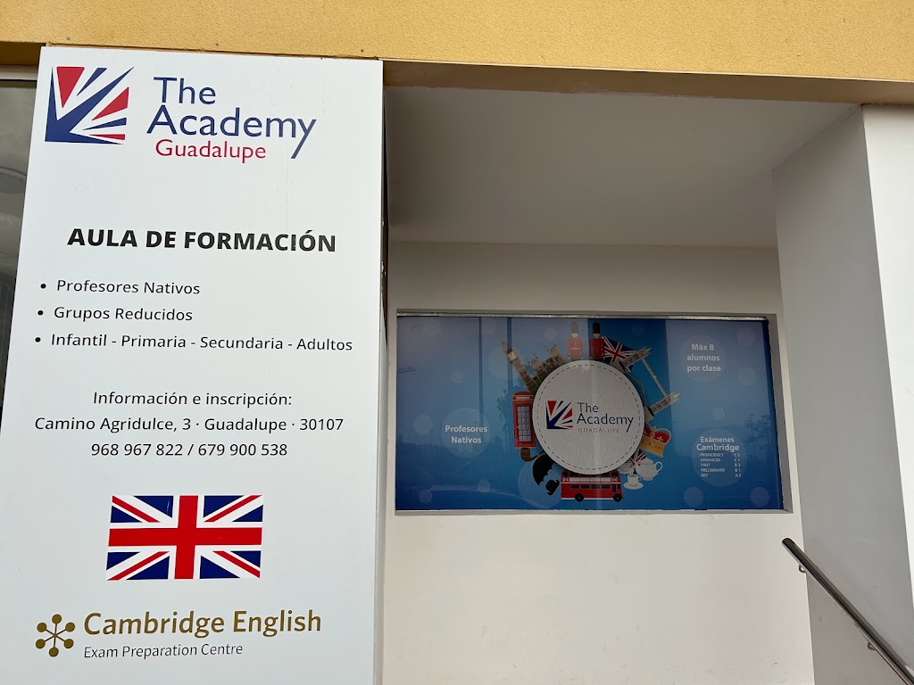 English4you by The Academy Guadalupe — Del propietario