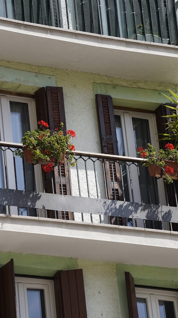 Musika Plaza Pentsioa