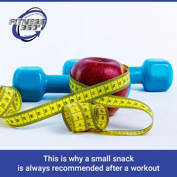  Fitness 360 Westchase