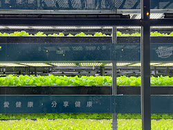 642b2f88dbf53b7e7e2df4f8 的照片