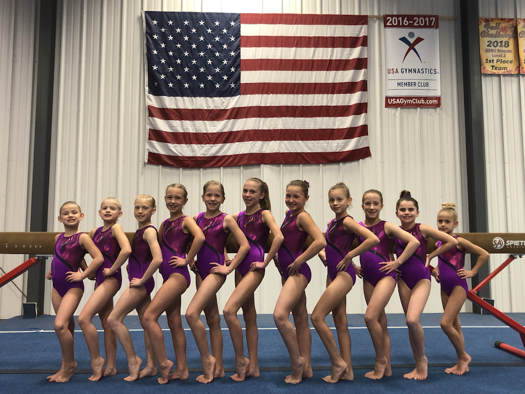 All Around Academy of Gymnastics