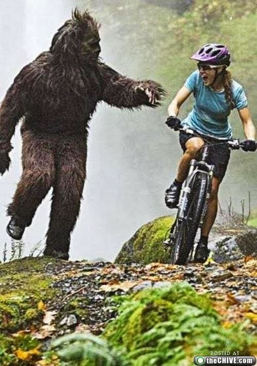 Online Yeti Internet Marketing Monsters