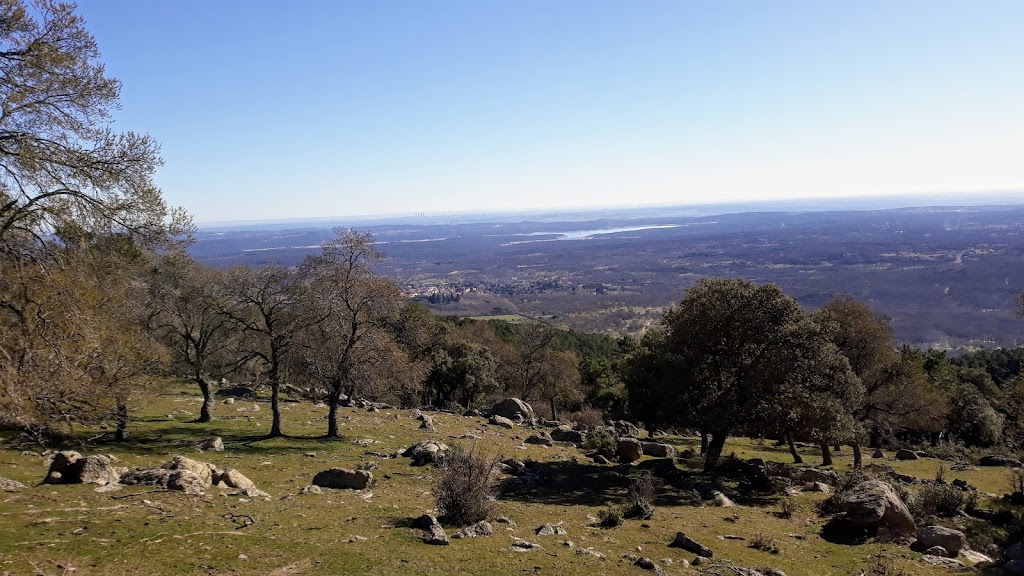 Camino de los Vascos