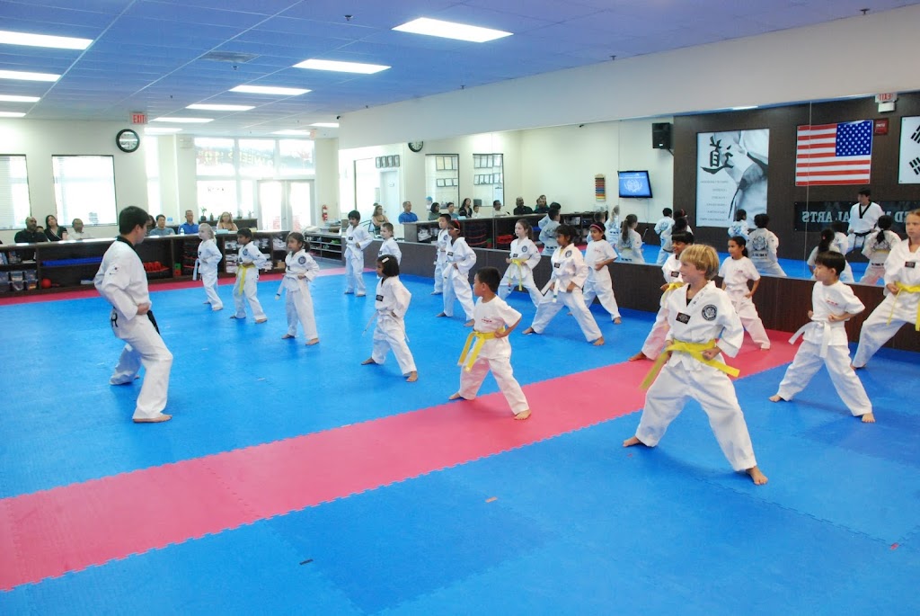  Top Mixed Martial Arts