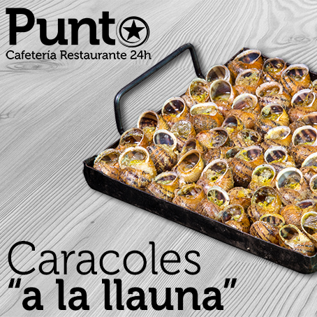 Punto Estrella Collserola