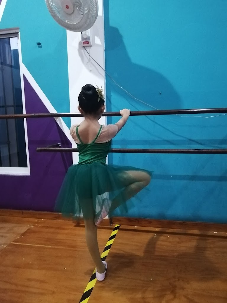 ACADEMIA DE DANZA ANUENUE