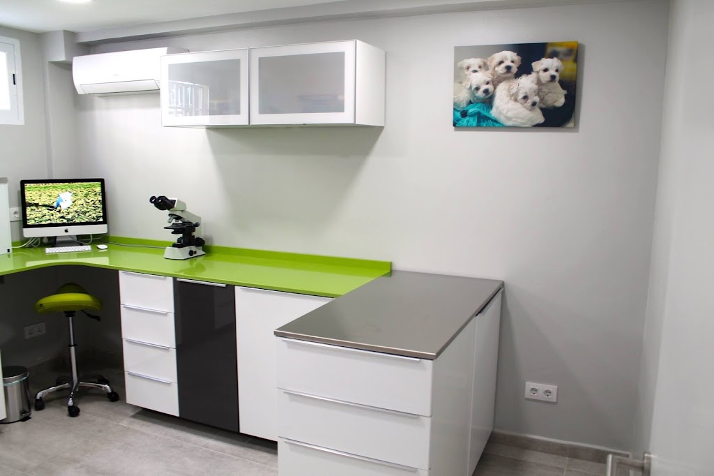 Clinica Veterinaria Godall — Del propietario