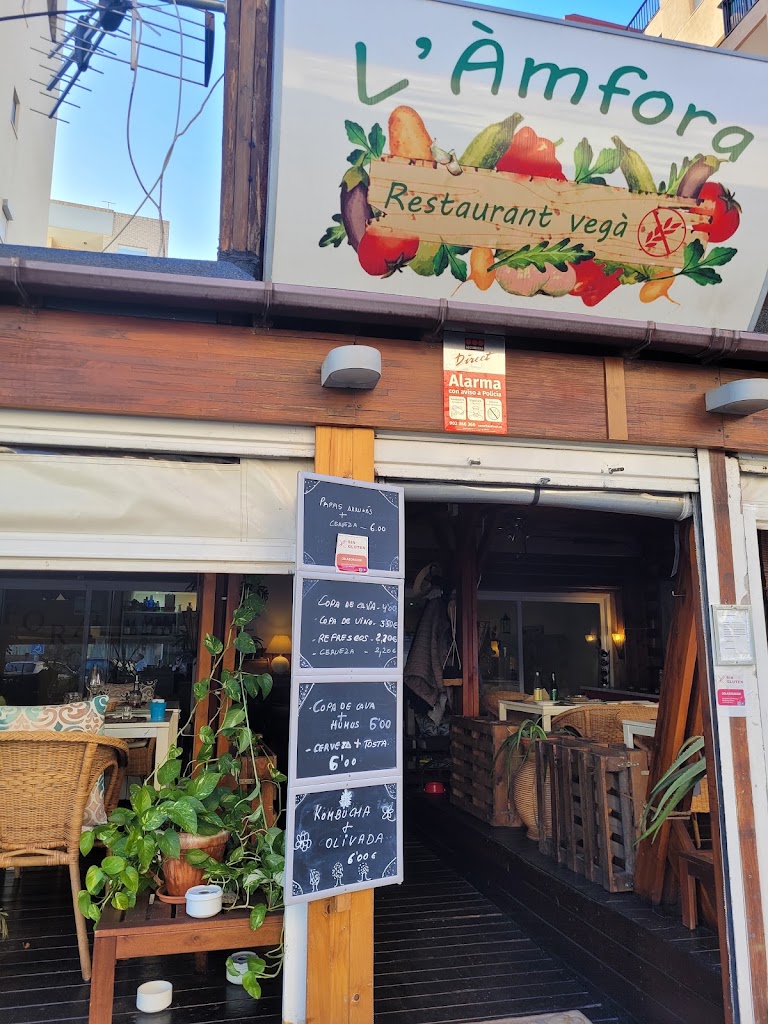 Anfora vegano — Carta
