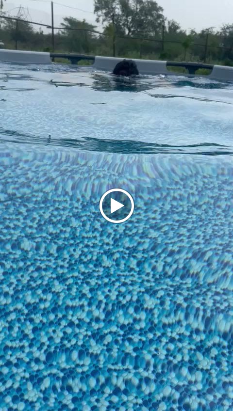 Videos
