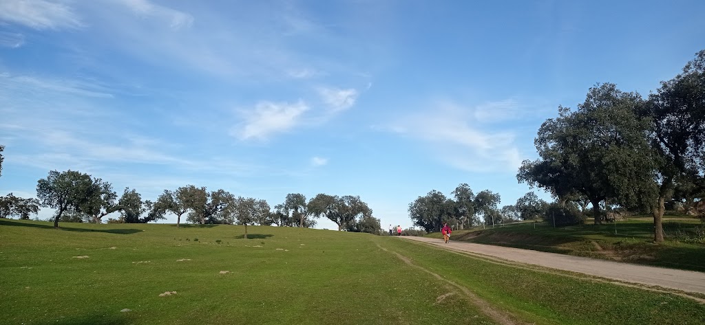 Dehesa Boyal de La Roca, Formacion en hongo granitico.