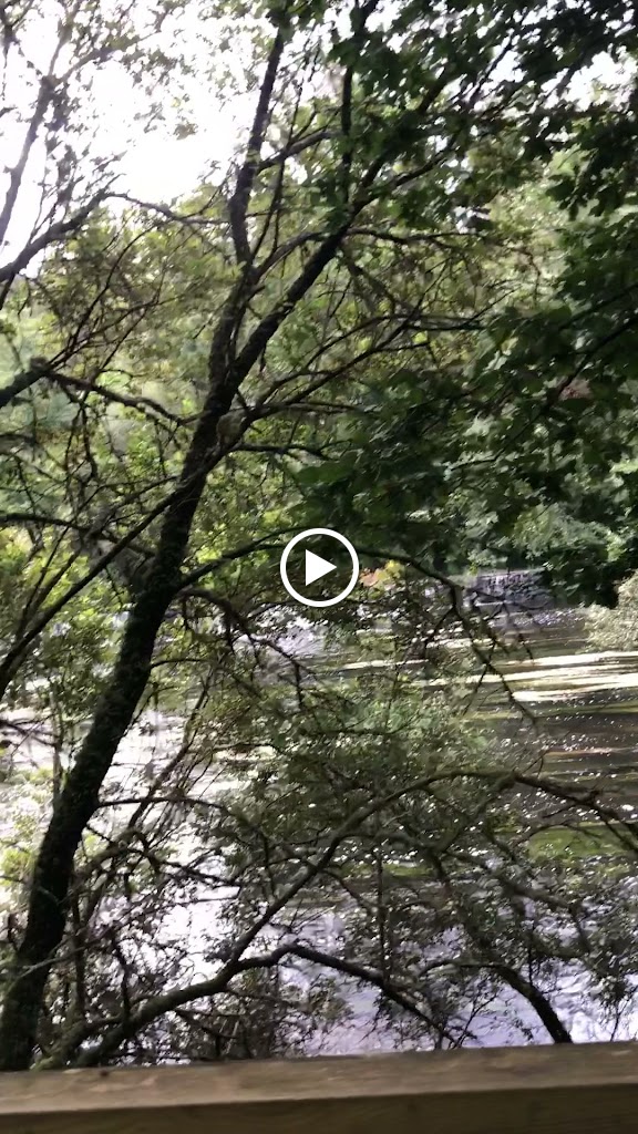 Senda da Ponte Vea — Videos