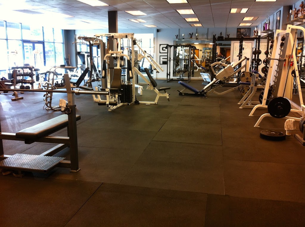  Bold Body Fitness LLC