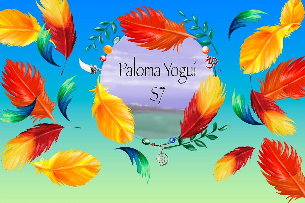 Asociacion Paloma Yogui S7