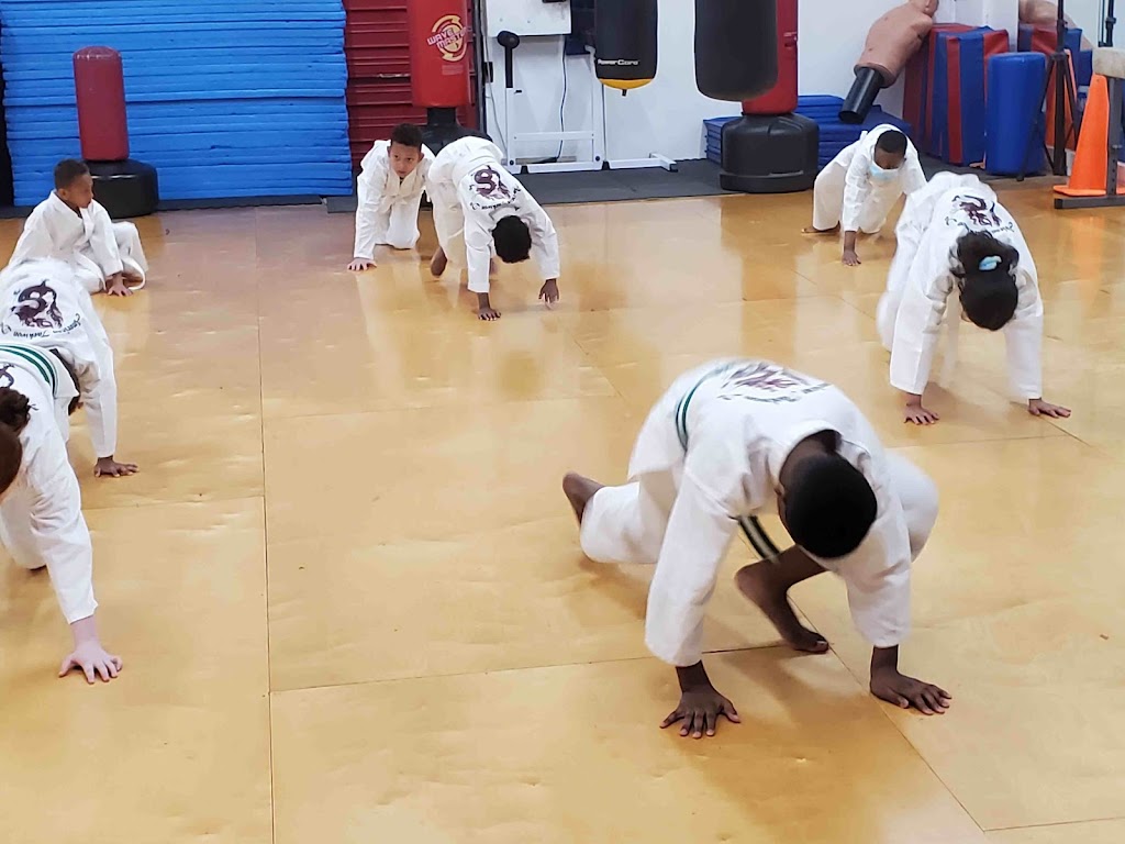  American Taekwon Do