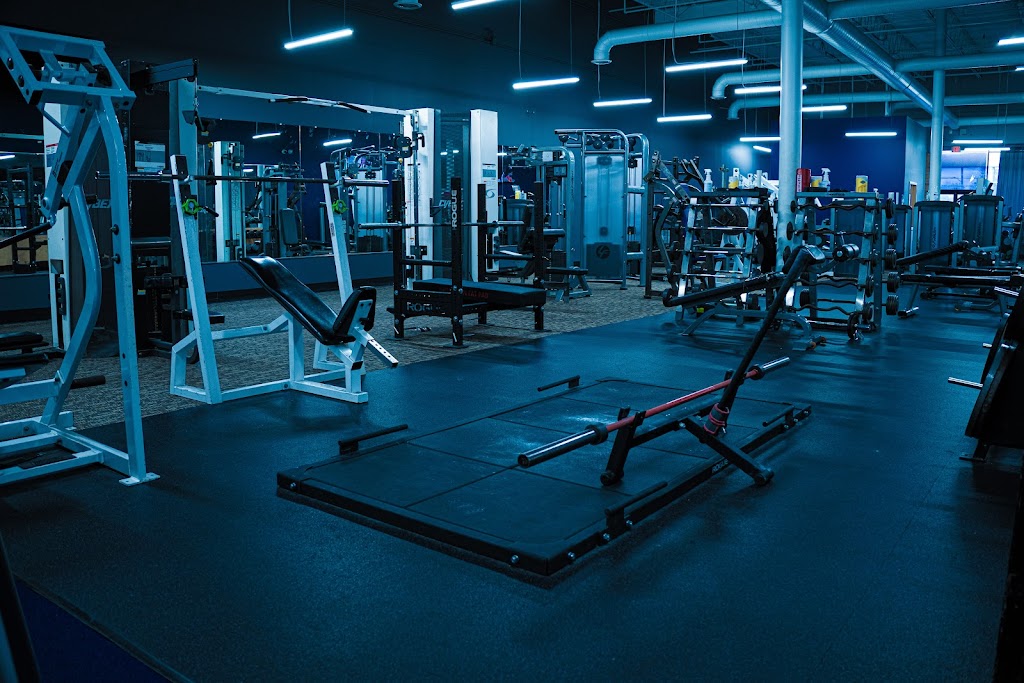  East Coast Muscle USA