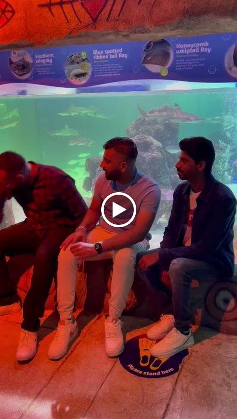 Videos