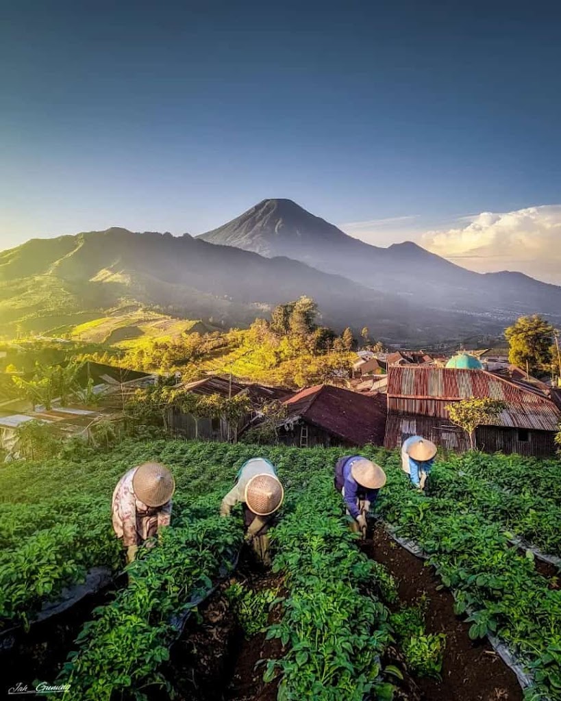 CAMP GROUND SKY BLUE VILLAGE