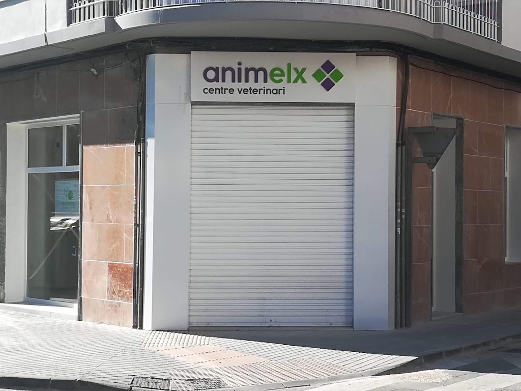 Veterinaria clinica Animelx Raval — Del propietario