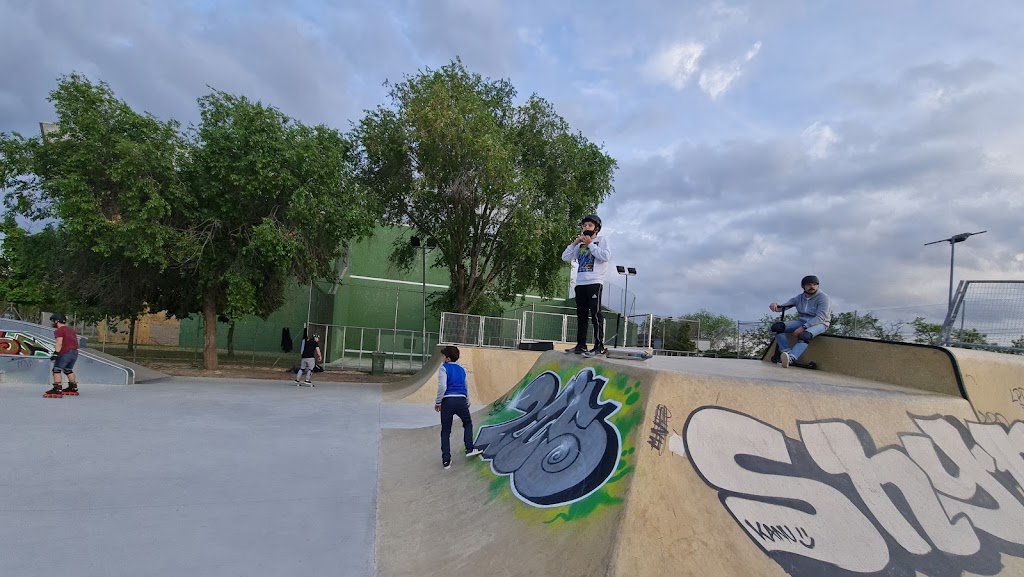 Skatepark Pinto