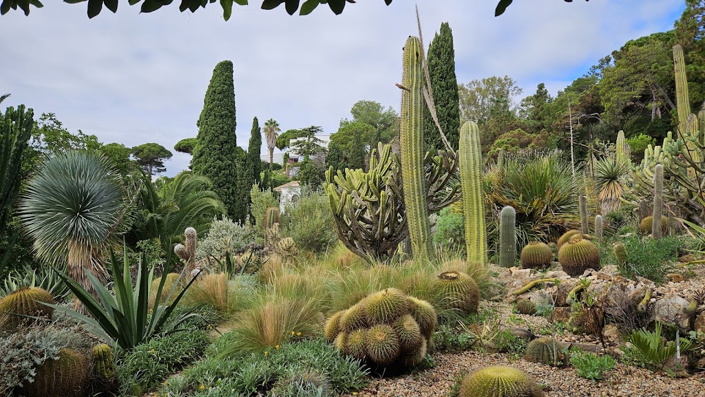 Blanes Parking gratis