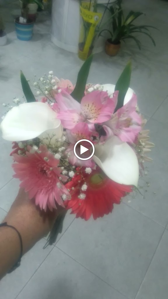 Floristeria Ciempoflor — Videos