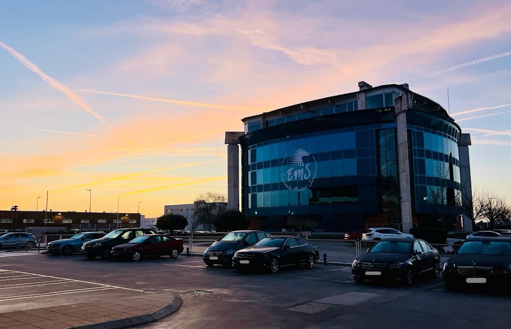 Euroauto Motor Service — Del propietario