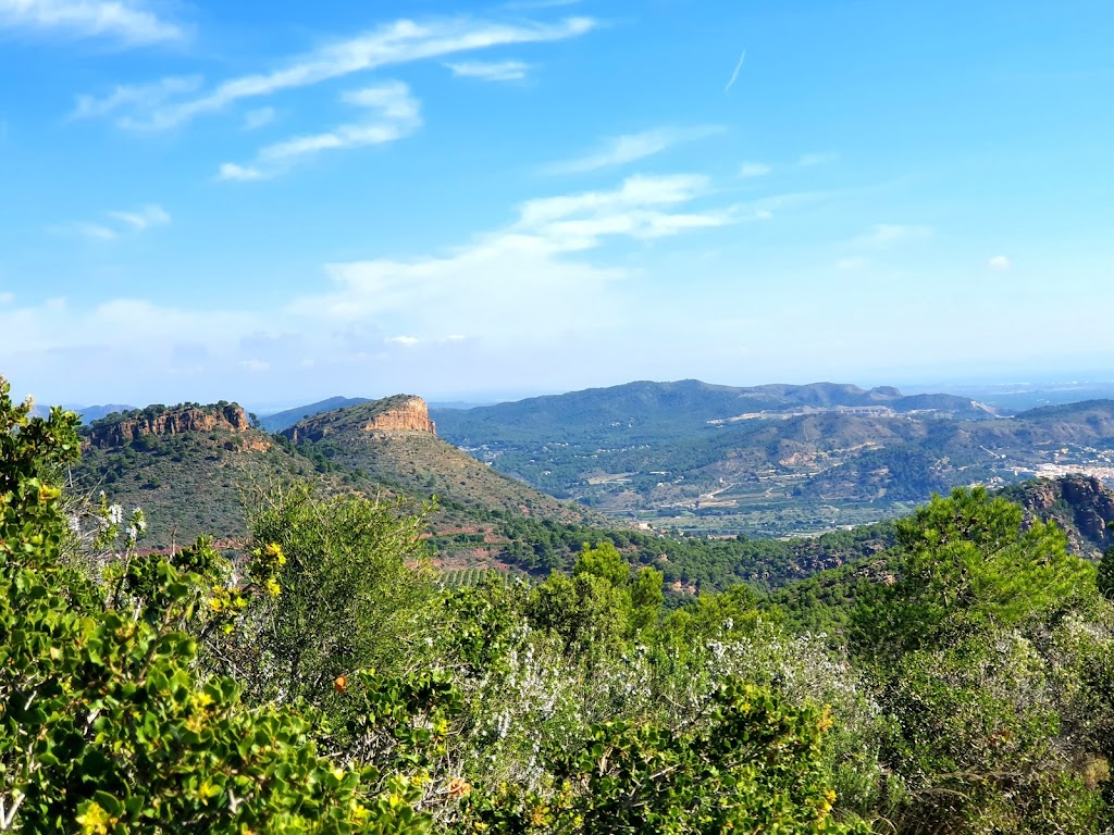 Pico del Aguila