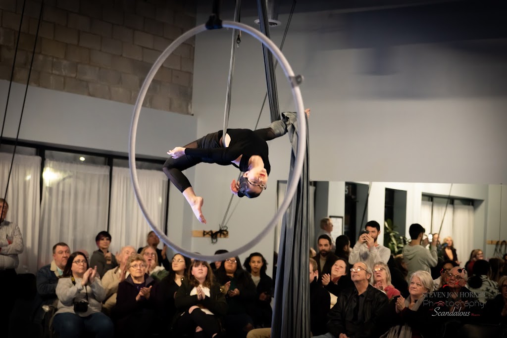  Aerial Dragonfly Movement Studio