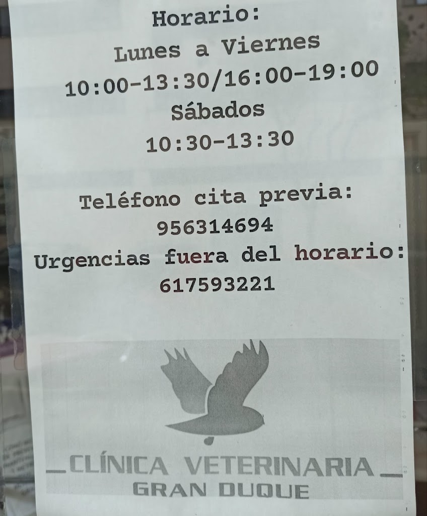 Clinica Veterinaria Gran Duque — Del propietario