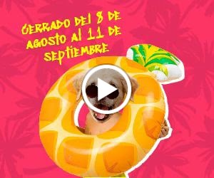 C. Veterinario Acuario — Videos