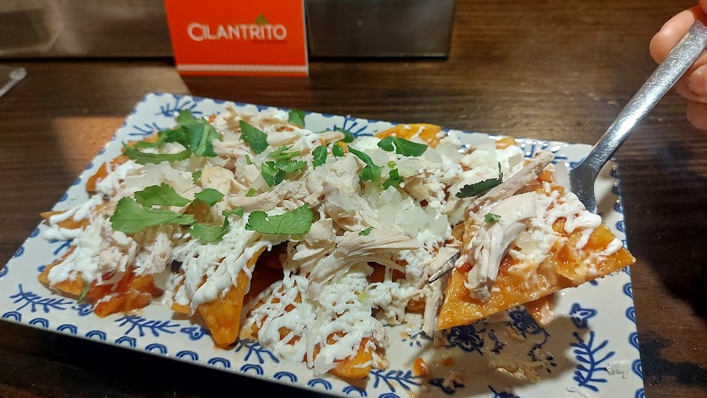 Cilantrito | Meson Mexicano — Comida y bebida