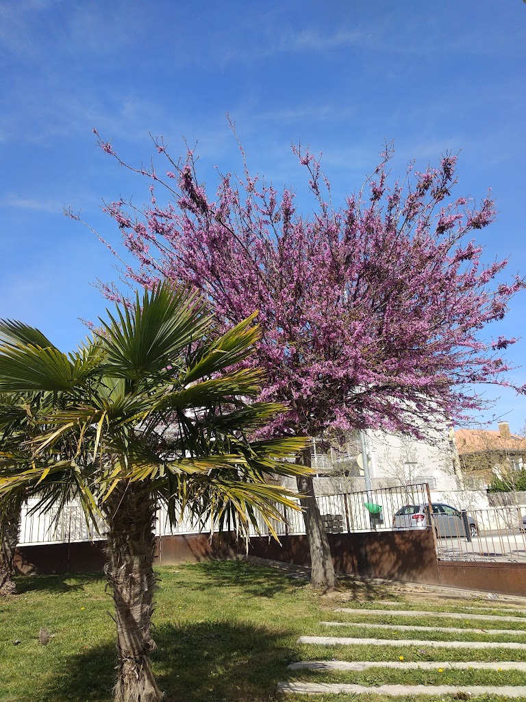 Santiago Pueyo Hurtado