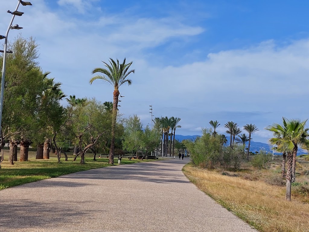 Zona de esparcimiento canino Parque Litoral