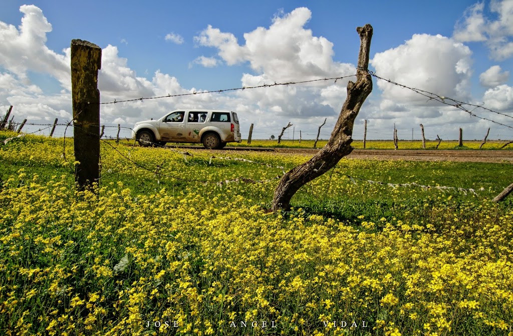 Green Tour Al-Andalus