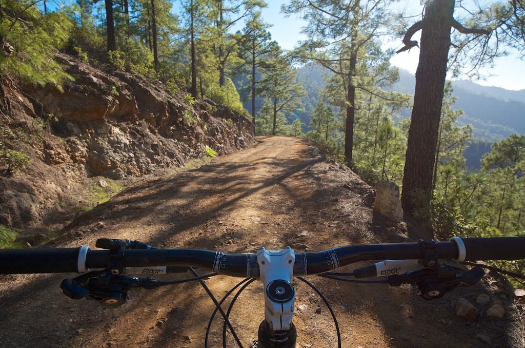 Rental Bike Station Las Palmas