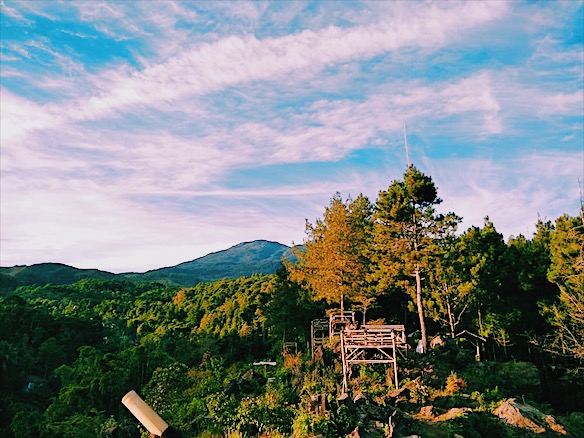 Wisata Hutan Pinus Batu Nyongclo