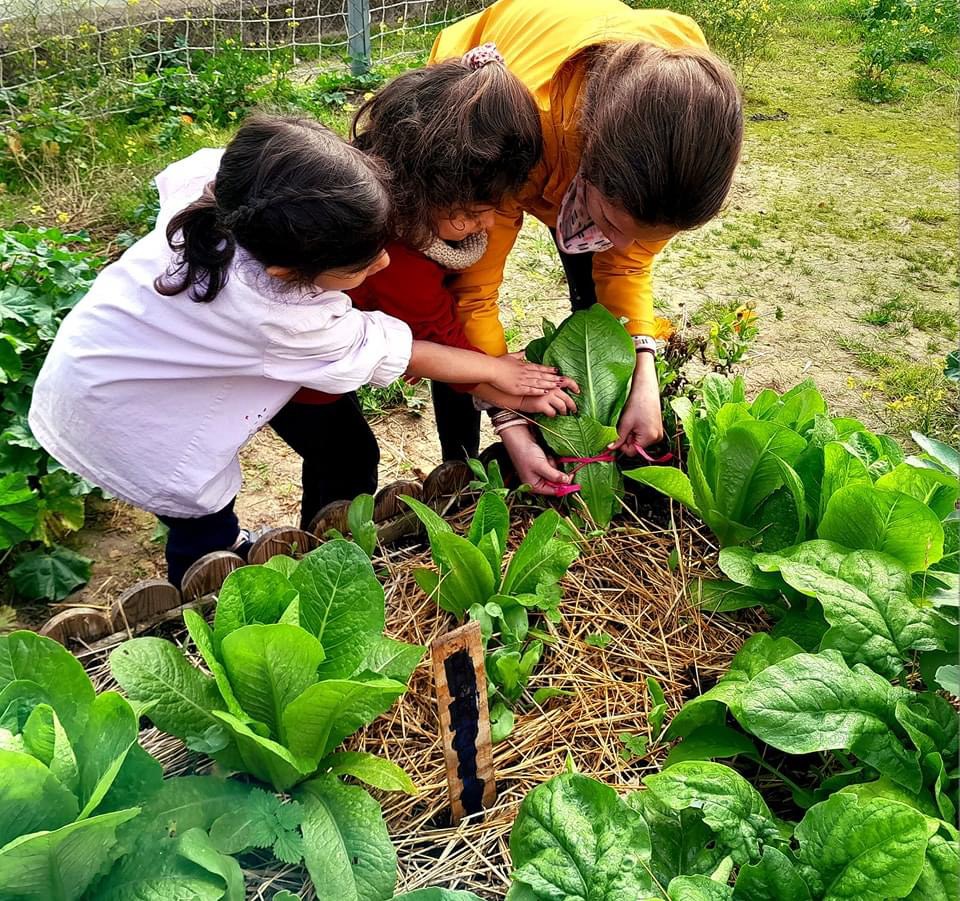 Colegio Albariza Jerez