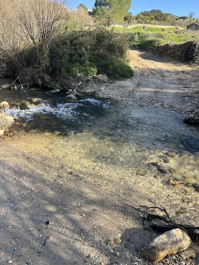 Cruce del Guadalevin