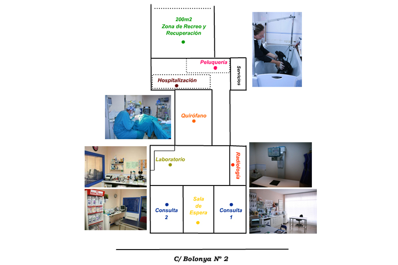CLINICA VETERINARIA LA VILETA — Del propietario