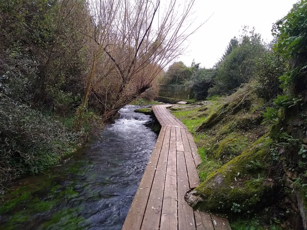 Paseo do rio Sarela