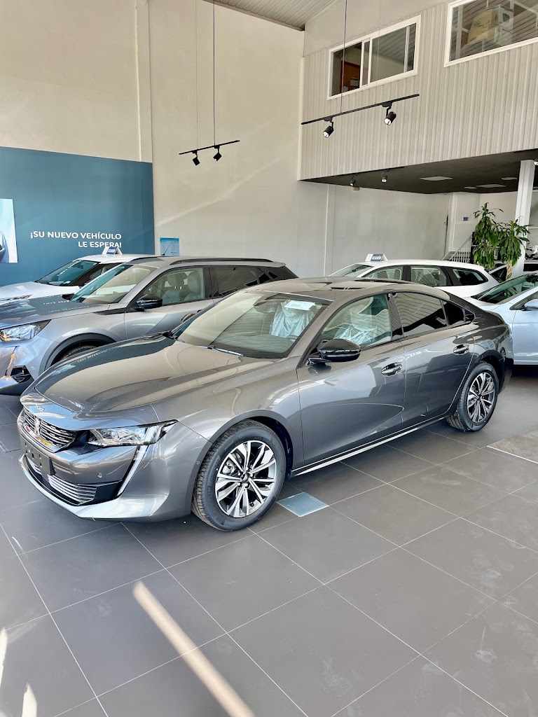 Guillen Ceballos Concesionario Peugeot — Todas
