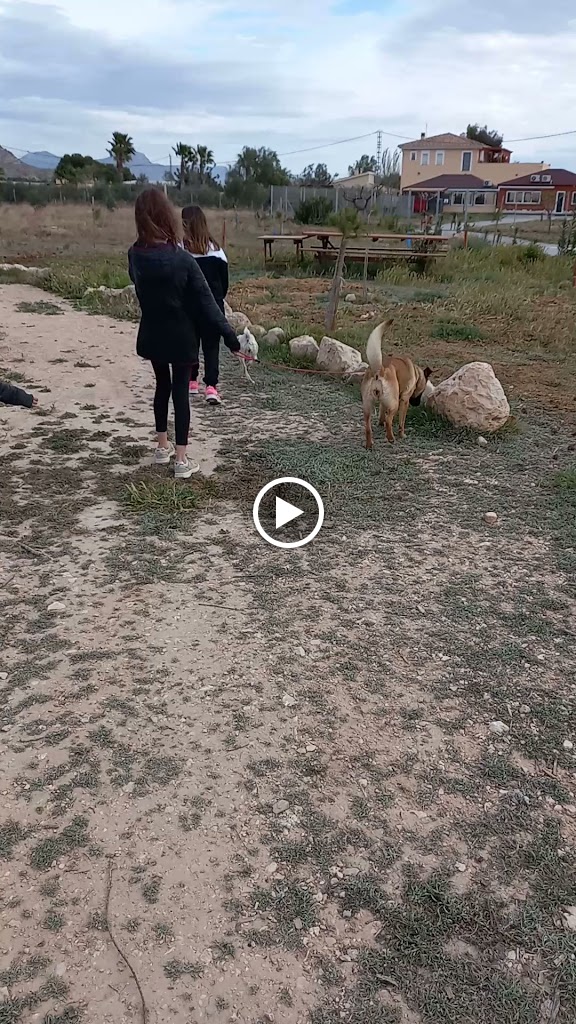 Unidad Movil Veterinaria CM Aspe. Pablo Calatayud. — Videos