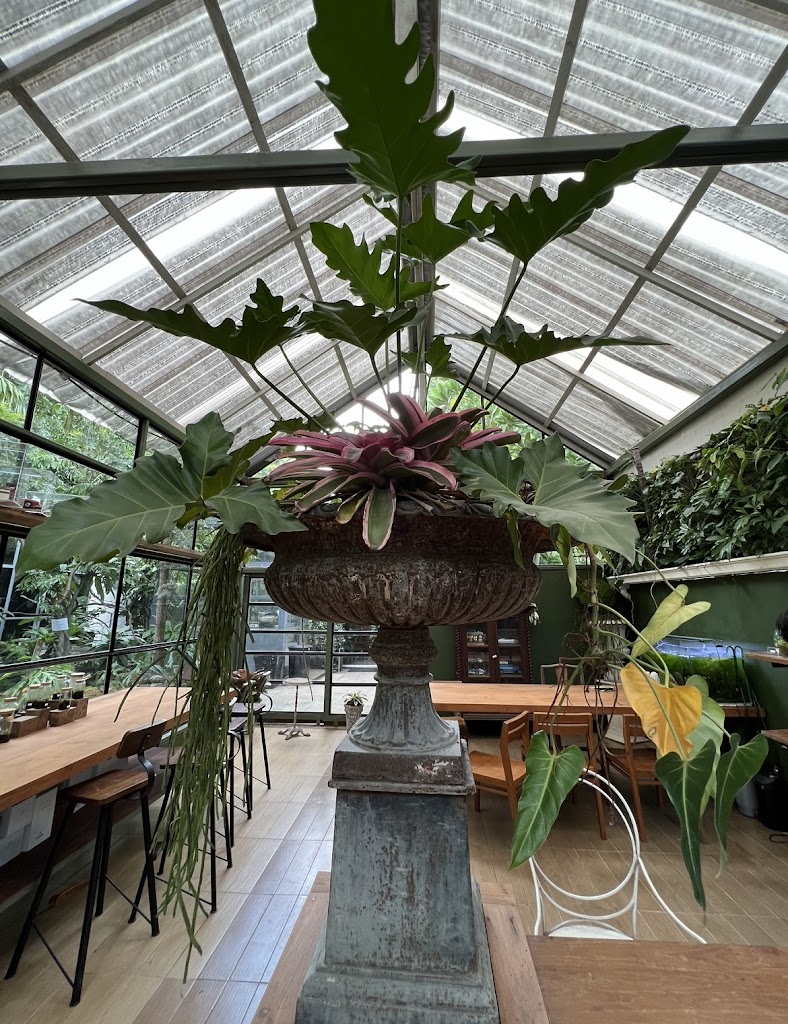 รูปภาพของ Botanist activity space
