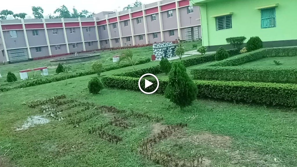 Videos