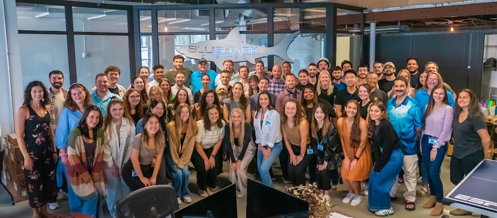 Blushark Digital Llc