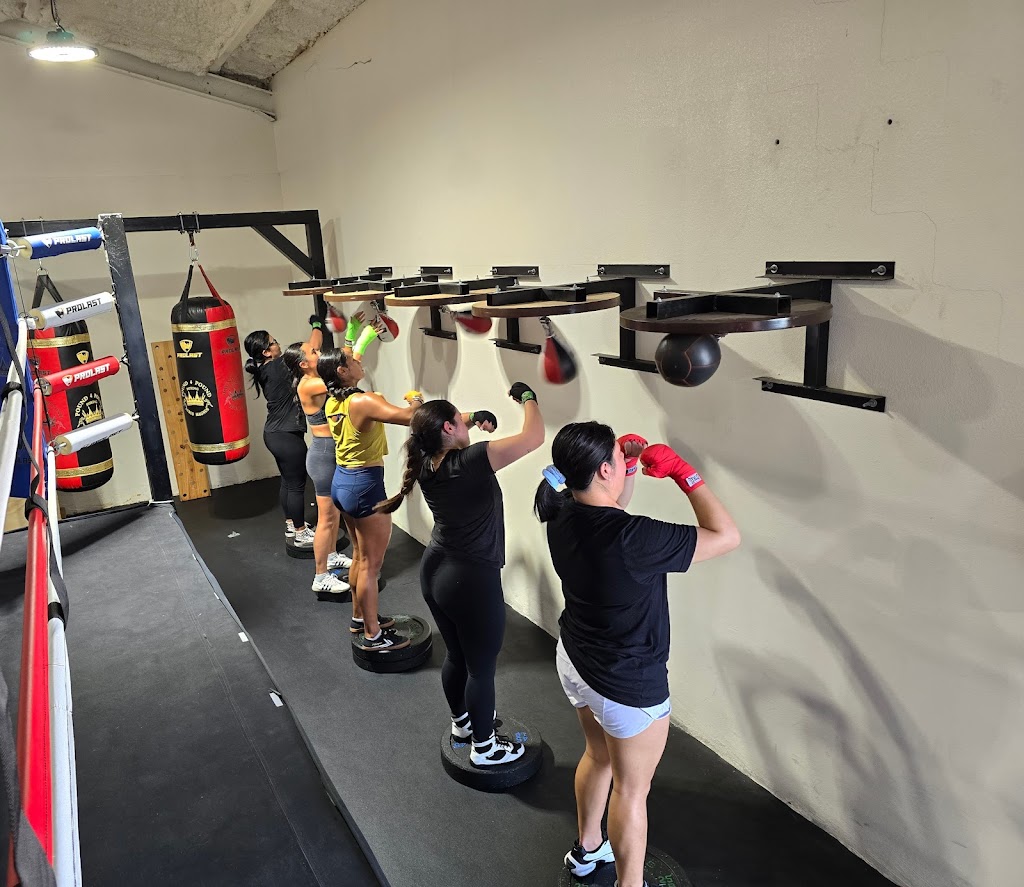  Pound 4 Pound Boxing - Ludus Magnus