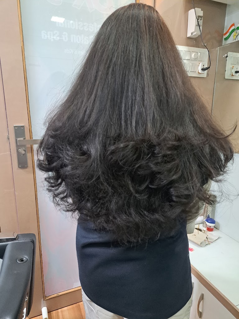 Bk S Professional Beauty Salon And Spa