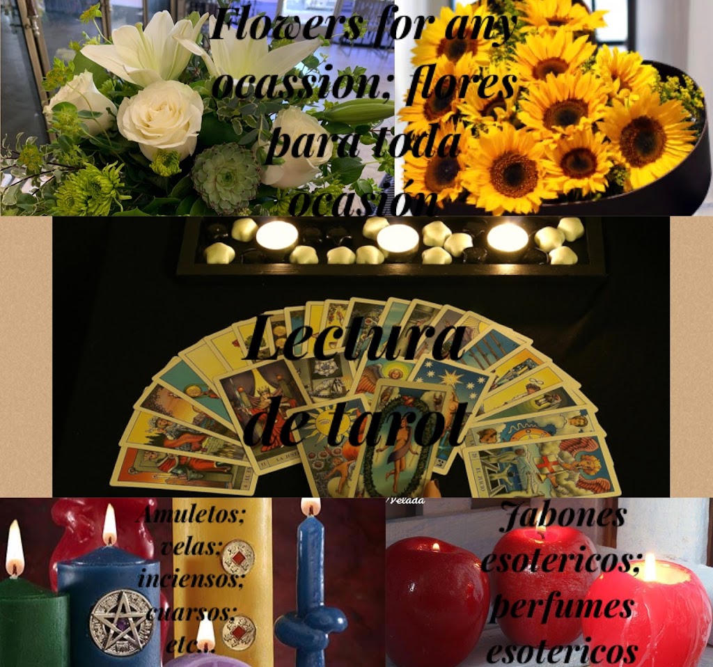 Botanica & Flowers
